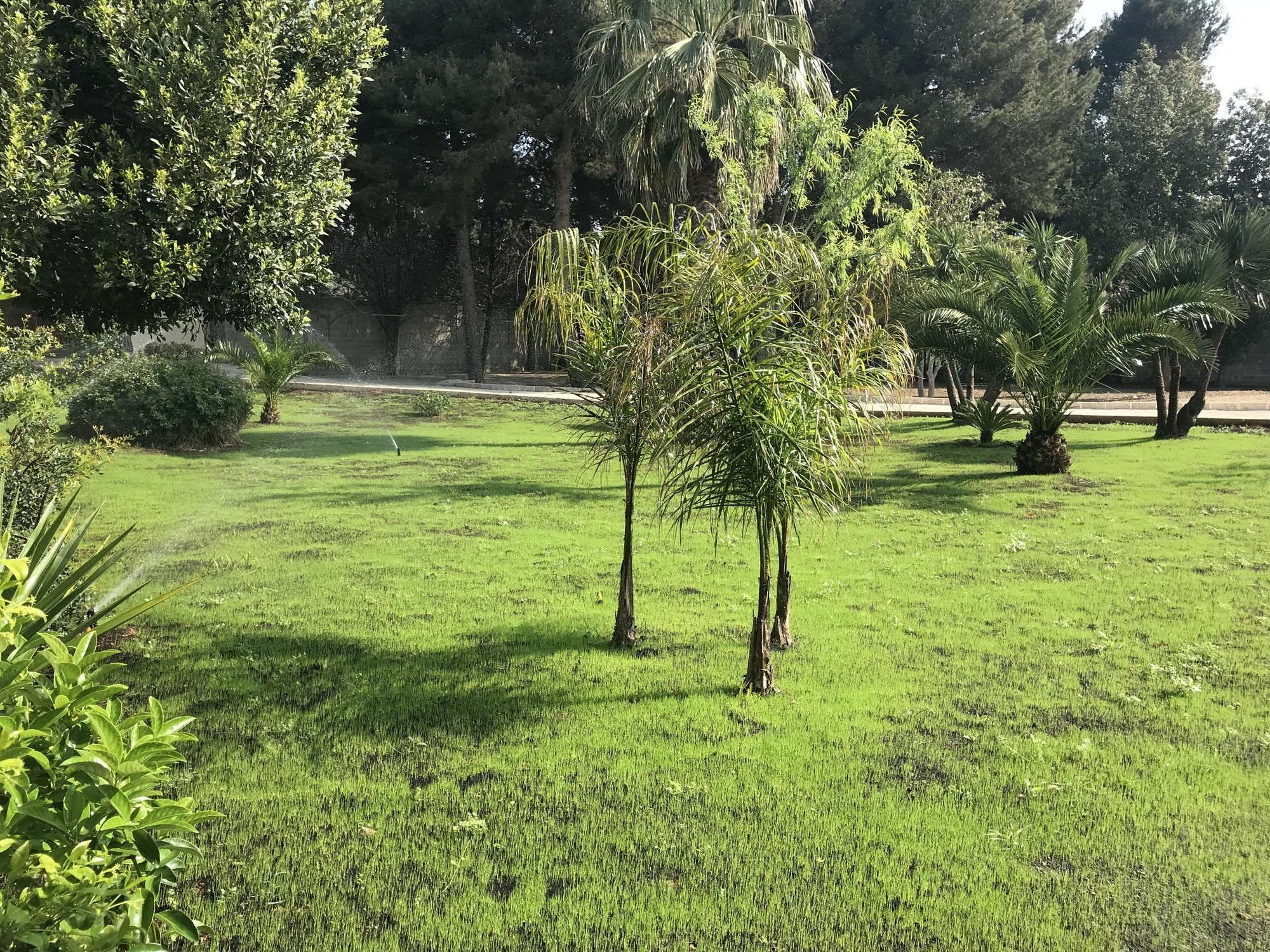 B&B Villa Jonica Gallipoli Eksteriør bilde